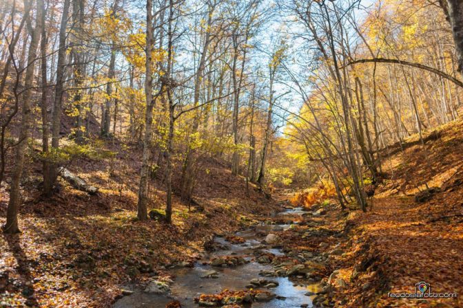 Черемисовка, Водопады, Малый Каньон Крыма (27) Фотографии малого каньона Крыма осенью. Село Поворотное, Белогорский район.